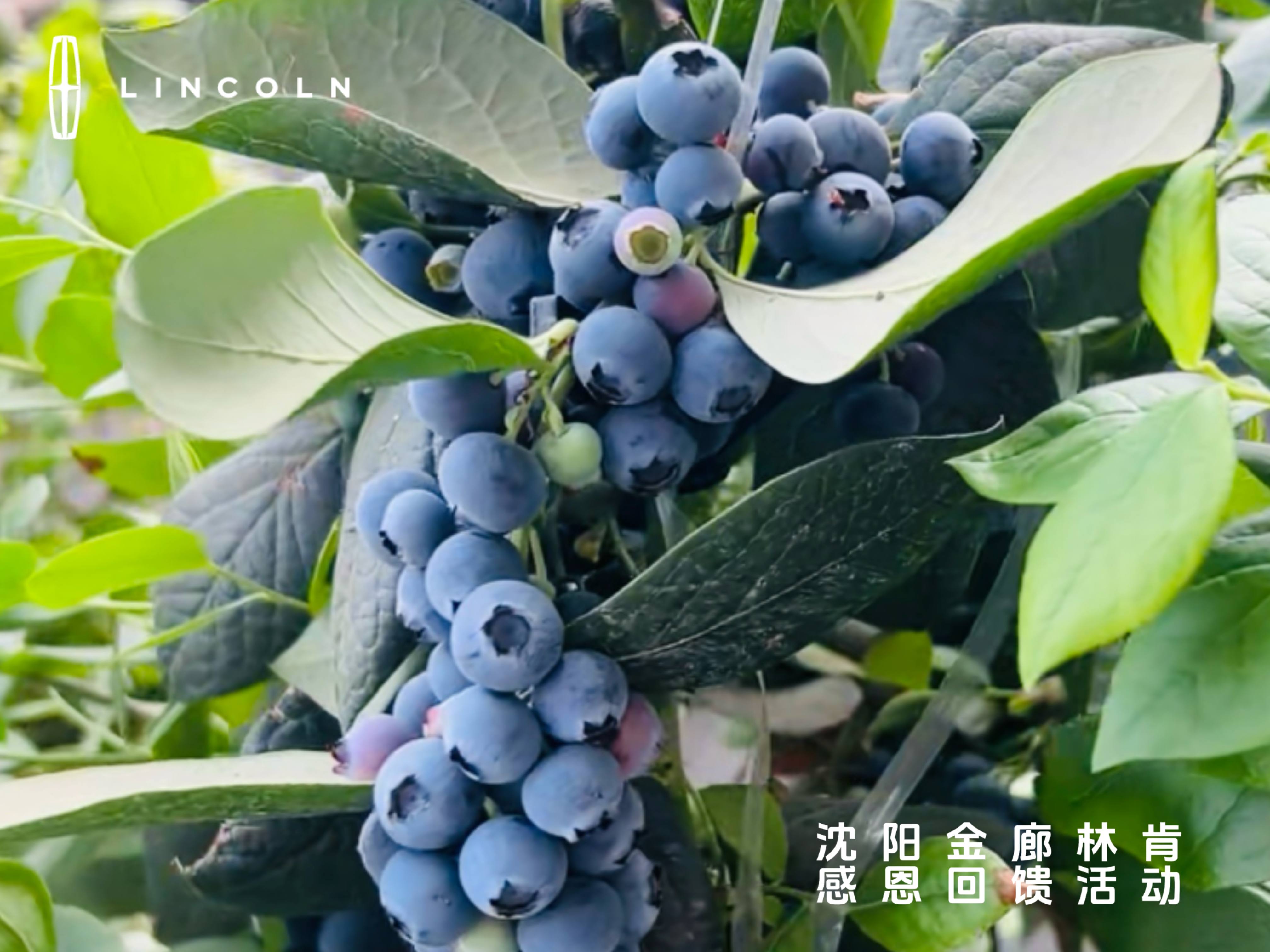 微信图片_20260526223336_1019_2.jpg 微信图片_20260526223336_1019_2.jpg